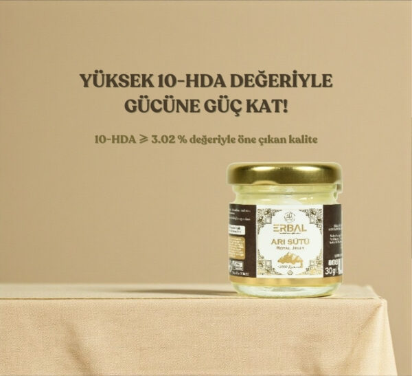 ARISÜTÜ2